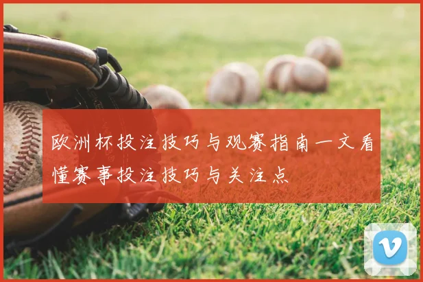 欧洲杯投注技巧与观赛指南一文看懂赛事投注技巧与关注点
