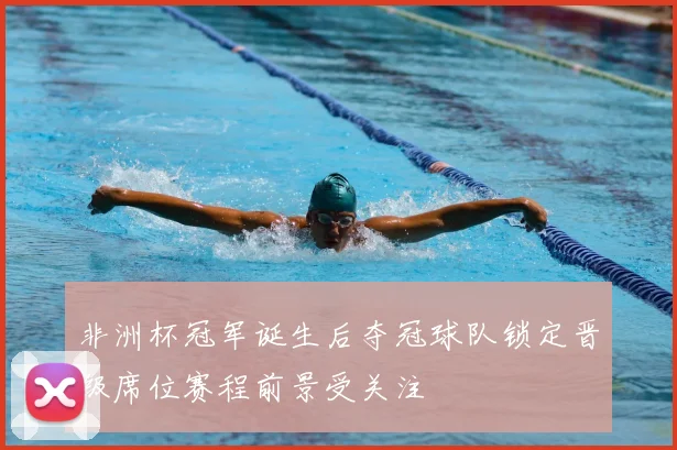 非洲杯冠军诞生后夺冠球队锁定晋级席位赛程前景受关注