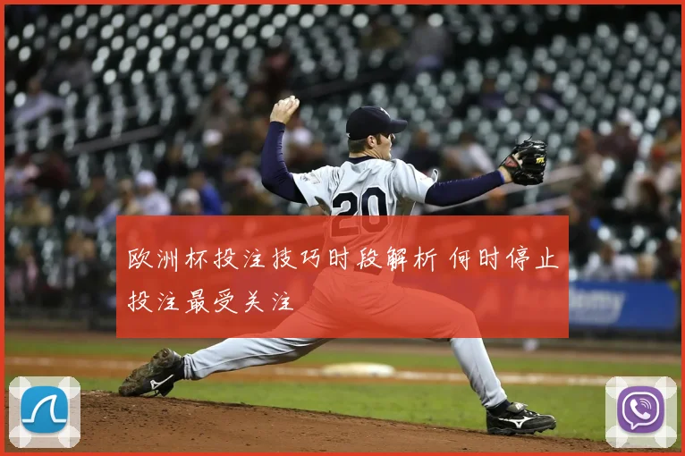 欧洲杯投注技巧时段解析 何时停止投注最受关注