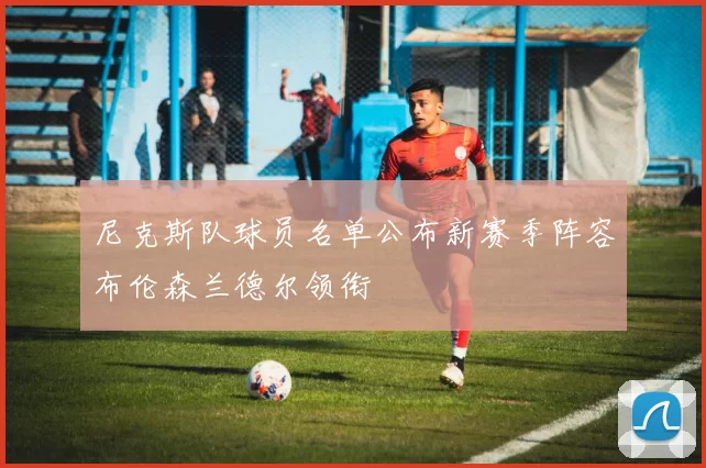 尼克斯队球员名单公布新赛季阵容布伦森兰德尔领衔