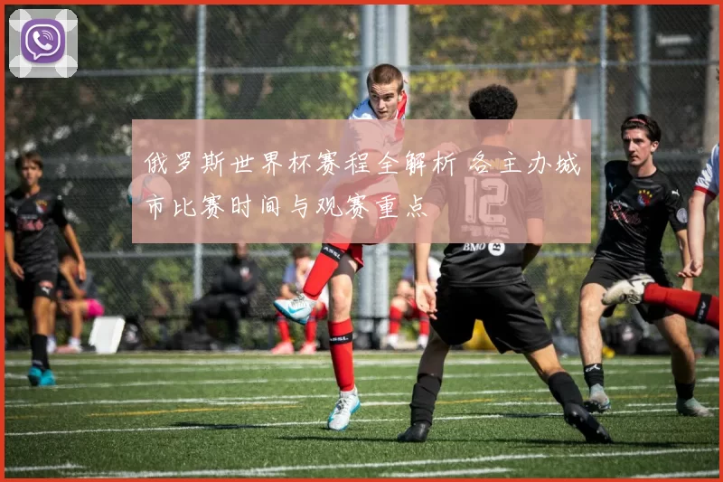 俄罗斯世界杯赛程全解析 各主办城市比赛时间与观赛重点