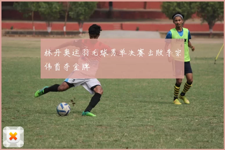林丹奥运羽毛球男单决赛击败李宗伟首夺金牌